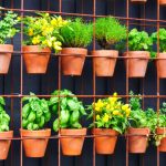 Growing Up: Vertical Gardening - Farmers' Almanac - Plan Your Day. Grow  Your Life.