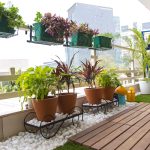 7 Top Tips for a Beautiful Balcony Garden, Crescent Builders