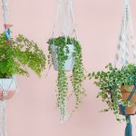 How to Make A Macramé Plant Hanger - FTD.com