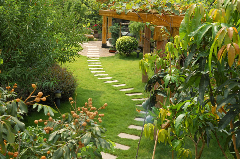 How to Create a Garden Oasis | GNH Lumber Co.